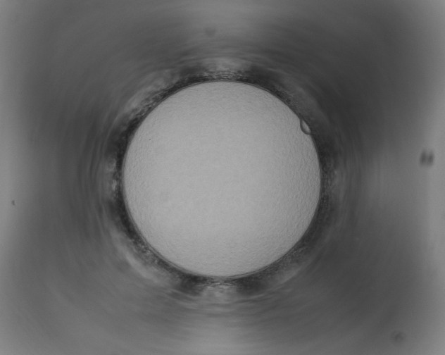 X0000113220599200910081343