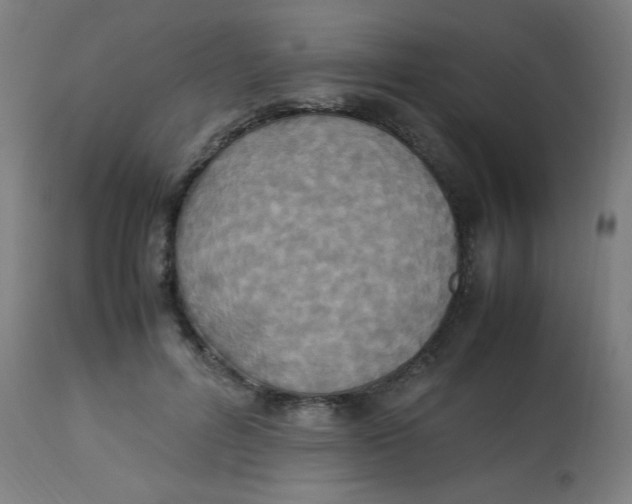 X0000113220600200910081343