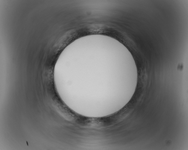 X0000113220601200910081343