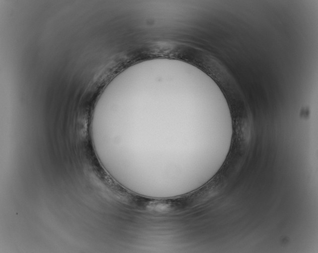 X0000113220602200910081343