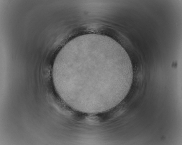 X0000113220603200910081343