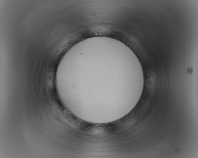 X0000113220604200910081343