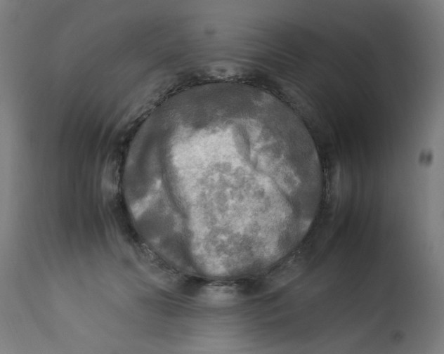 X0000113220606200910081343