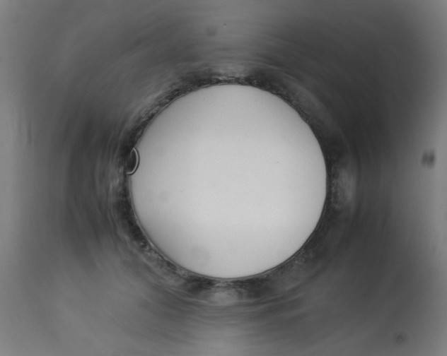 X0000113220608200910081343
