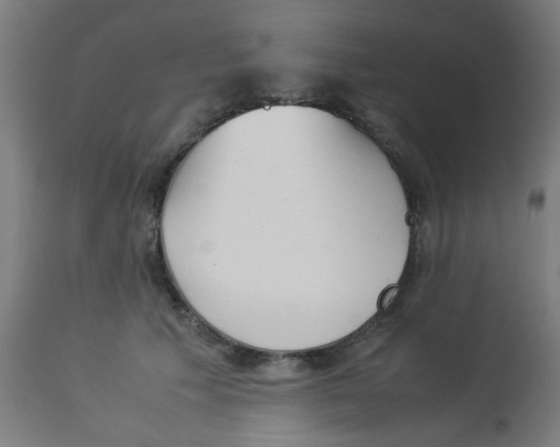 X0000113220609200910081343