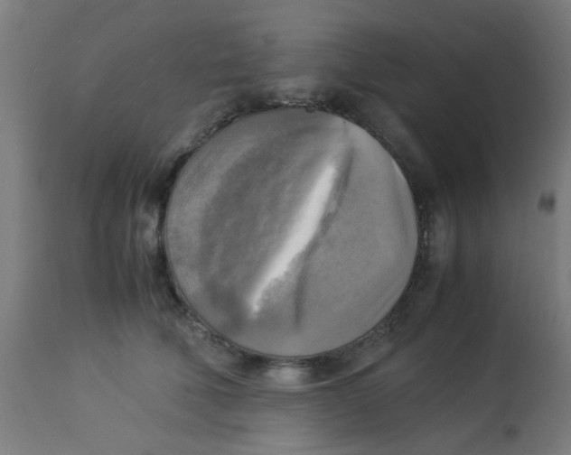 X0000113220610200910081343