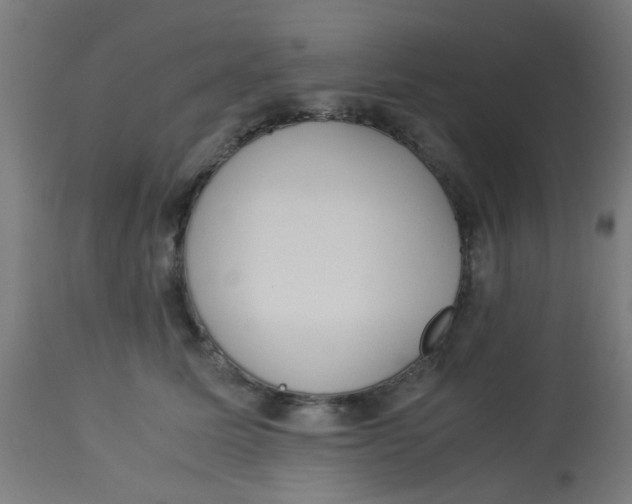 X0000113220611200910081343