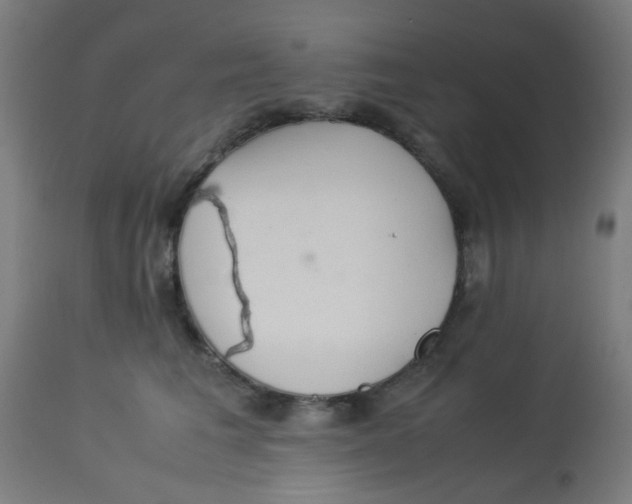 X0000113220613200910081343
