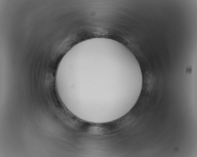 X0000113220614200910081343