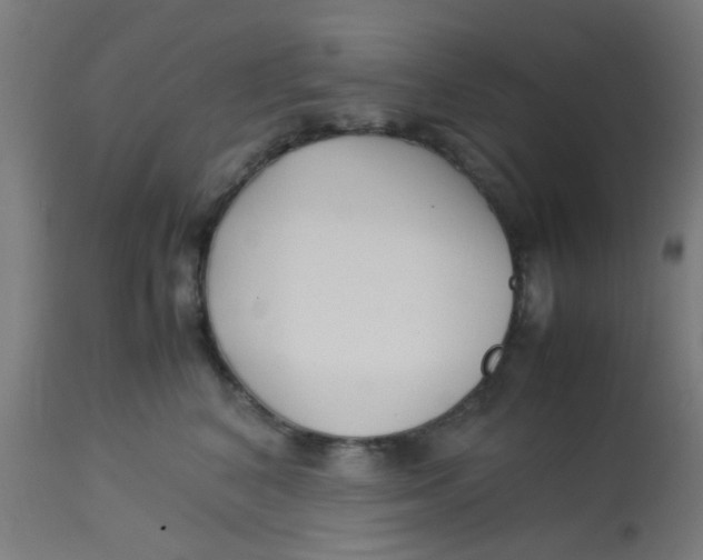 X0000113220616200910081343