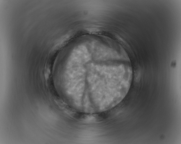 X0000113220618200910081343