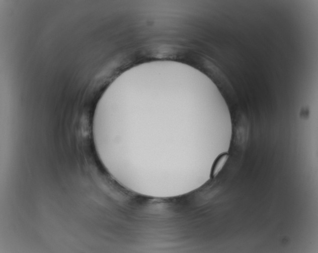 X0000113220620200910081343