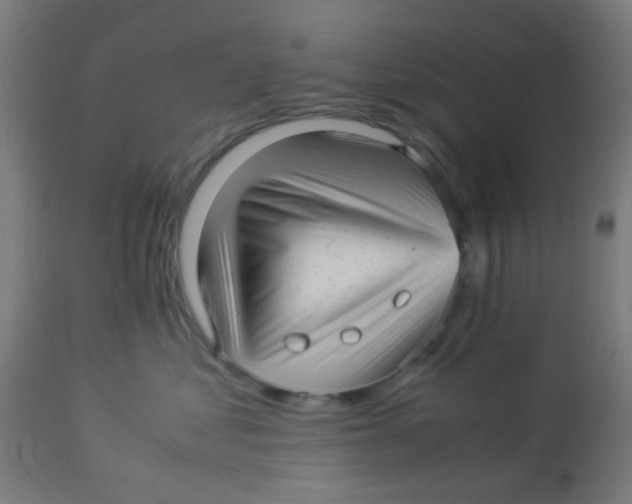 X0000113220621200910081343