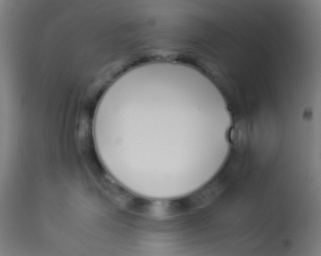X0000113220623200910081342