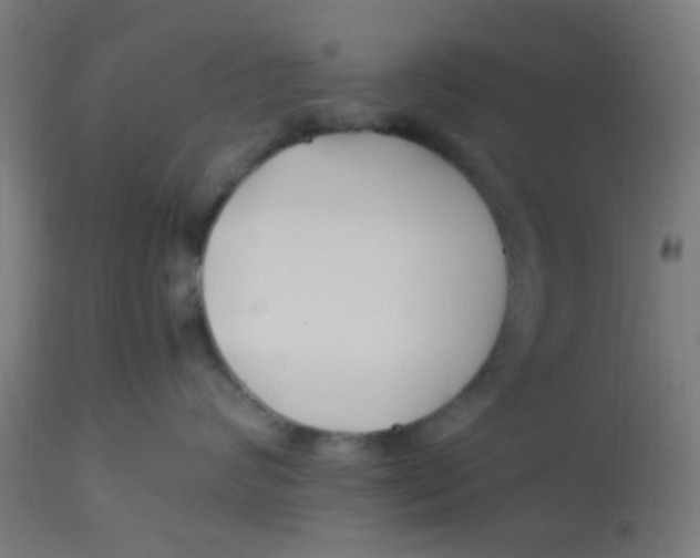 X0000113220624200910081342