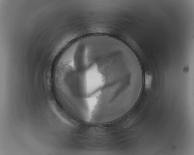 X0000113220627200910081342