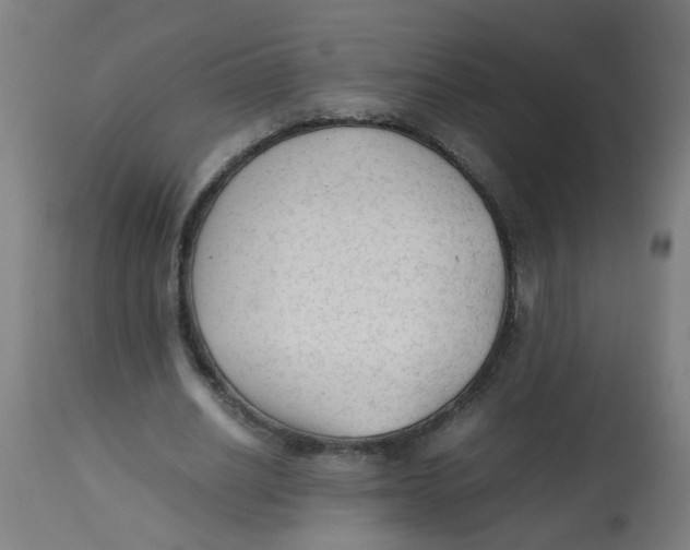 X0000113220630200910081342