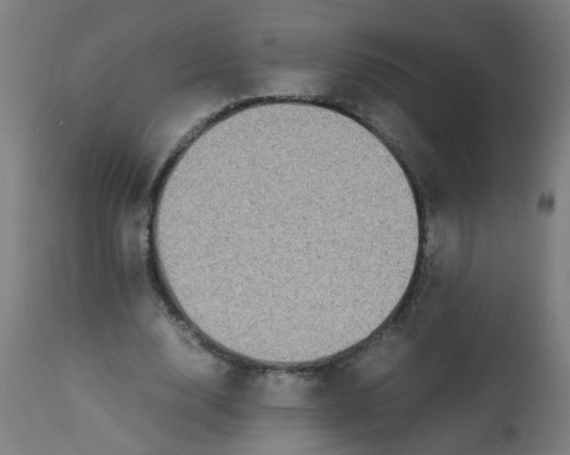 X0000113220632200910081342