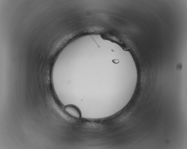 X0000113220633200910081342