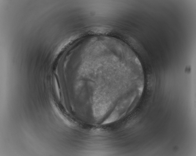 X0000113220634200910081342