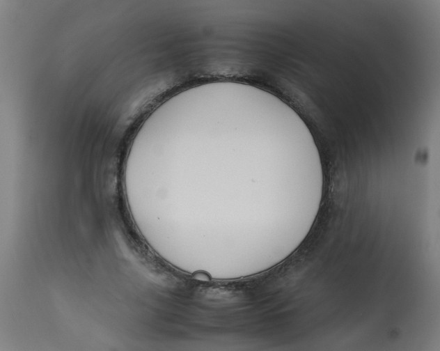 X0000113220635200910081342