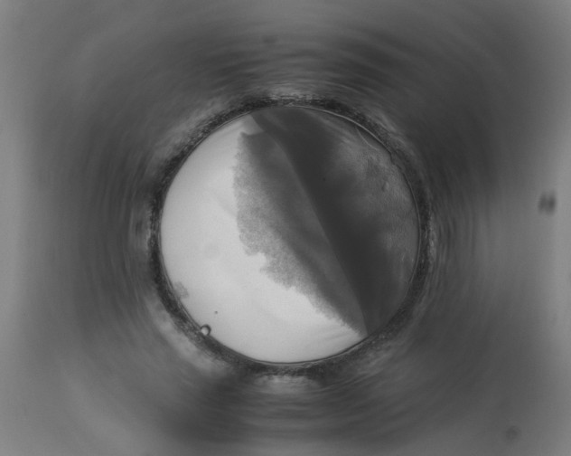 X0000113220637200910081342
