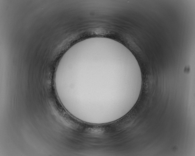 X0000113220639200910081342