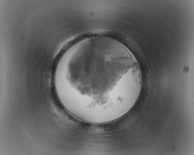 X0000113220640200910081342