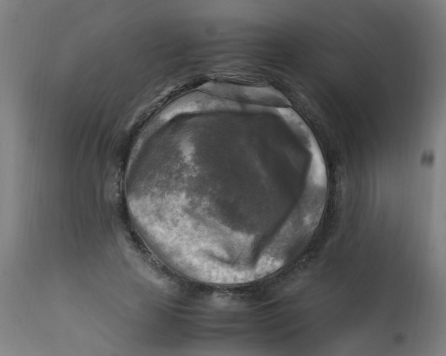 X0000113220641200910081342