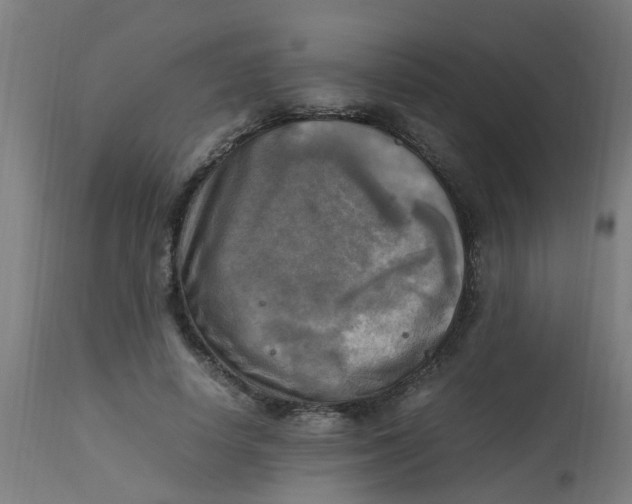 X0000113220642200910081342