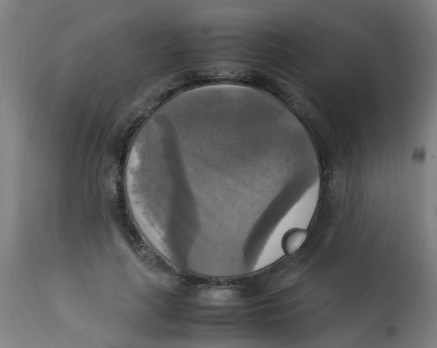 X0000113220643200910081342
