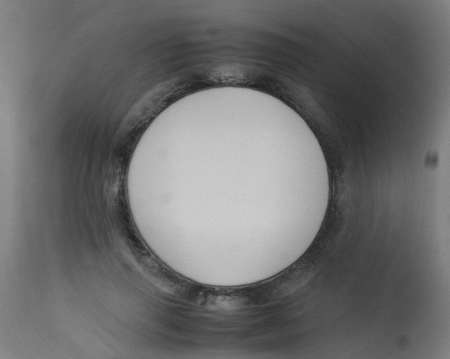 X0000113220645200910081342