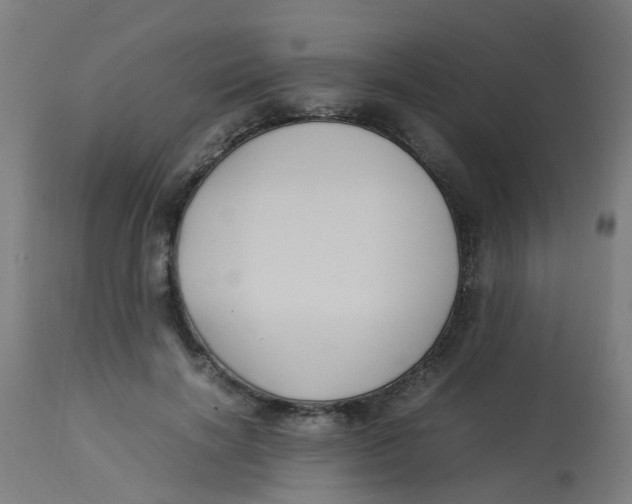 X0000113220646200910081342