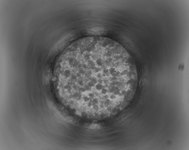 X0000113220647200910081342