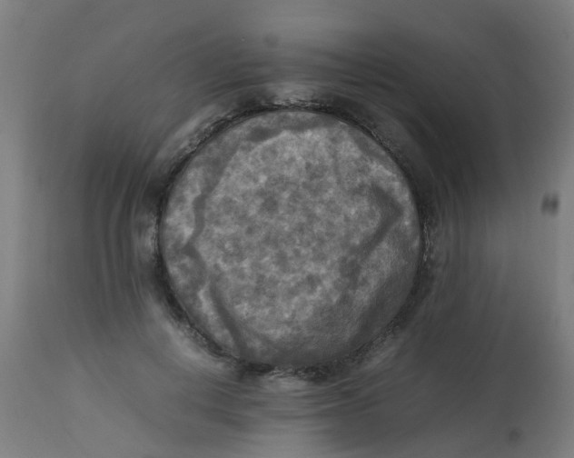 X0000113220648200910081342