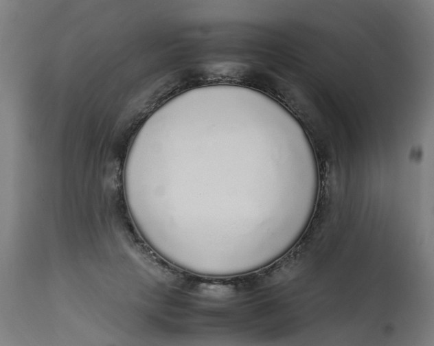 X0000113220649200910081342