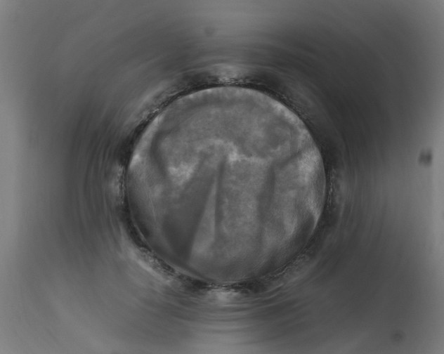 X0000113220650200910081342