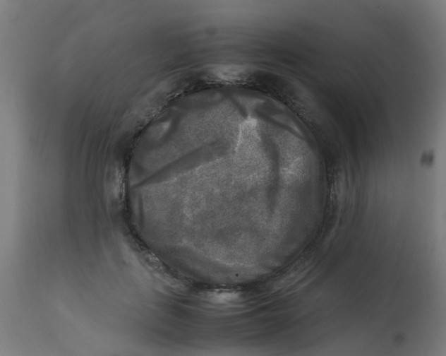 X0000113220651200910081342