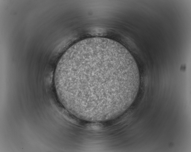 X0000113220652200910081342