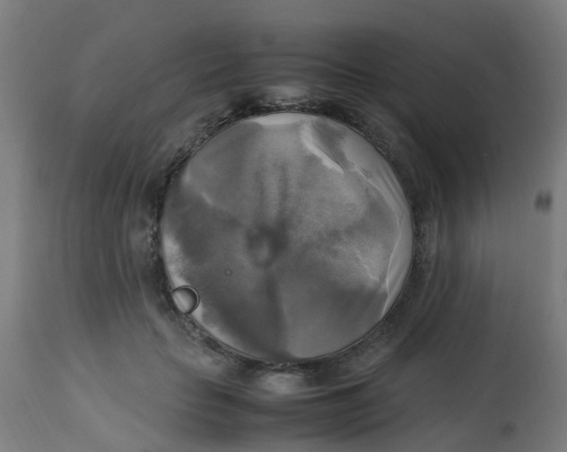 X0000113220653200910081342