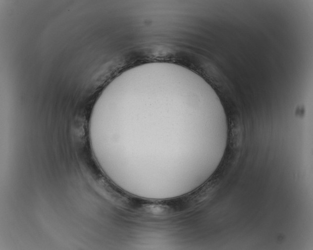 X0000113220654200910081342