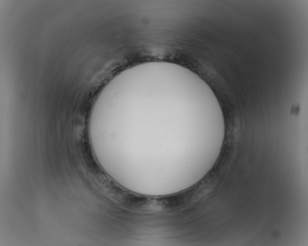X0000113220656200910081342
