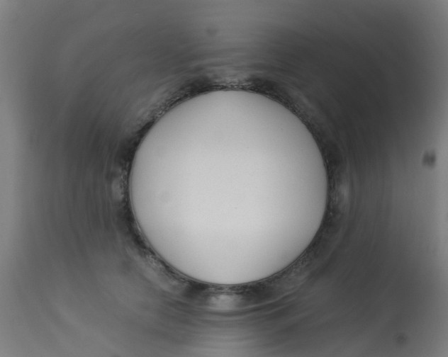 X0000113220658200910081342