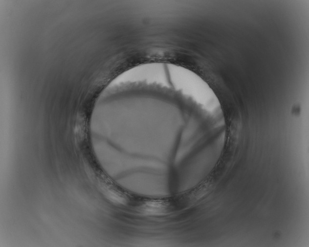 X0000113220659200910081342