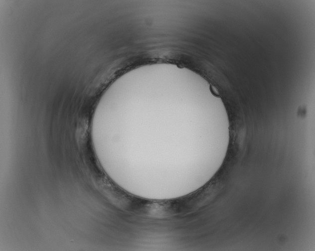 X0000113220660200910081342