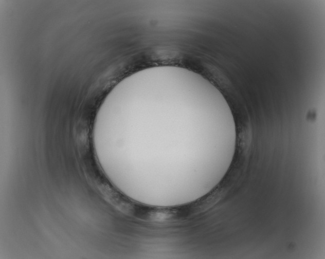 X0000113220662200910081342