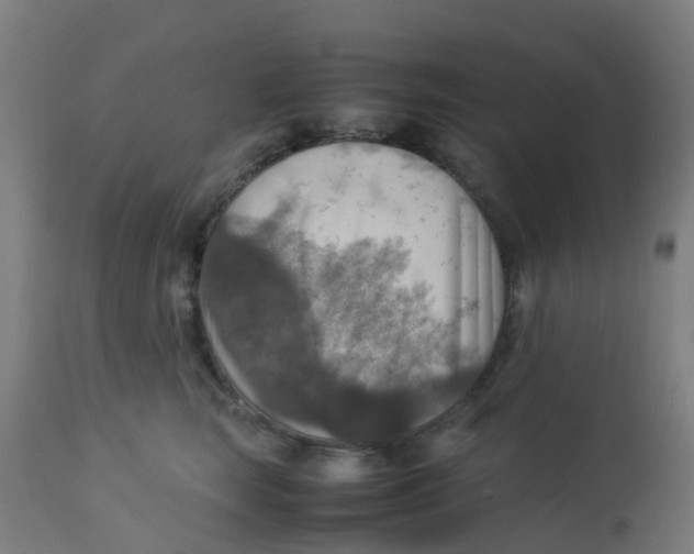 X0000113220663200910081342