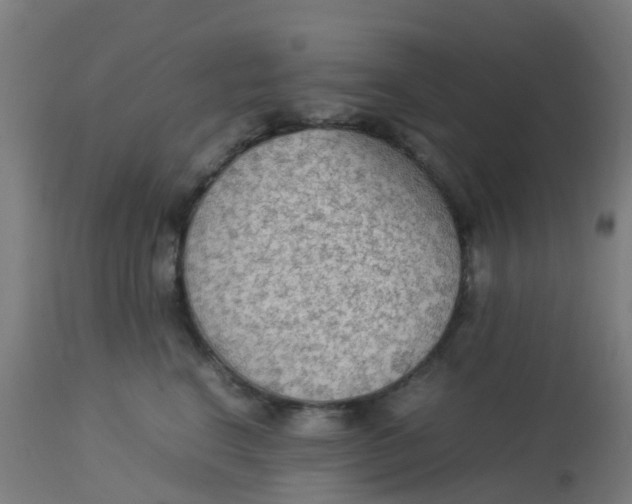 X0000113220664200910081342