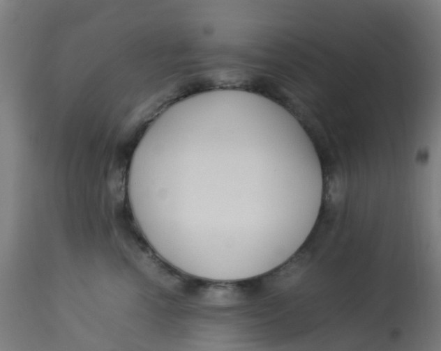 X0000113220666200910081342