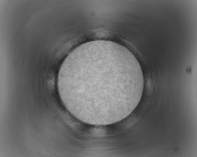 X0000113220668200910081342
